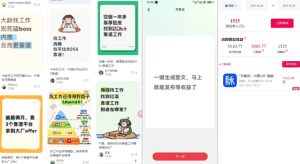 毕业生求职项目拆解：脉脉拉新如何开拓空白市场实现蓝海开局-小伟资源网