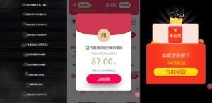 网络项目万能辅助工具：高效拉新策略与提成优化指南-小伟资源网