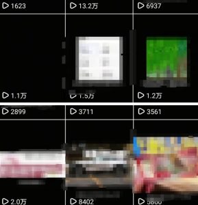 创业粉引流教程:私域变现路径解析与实战经验分享-小伟资源网